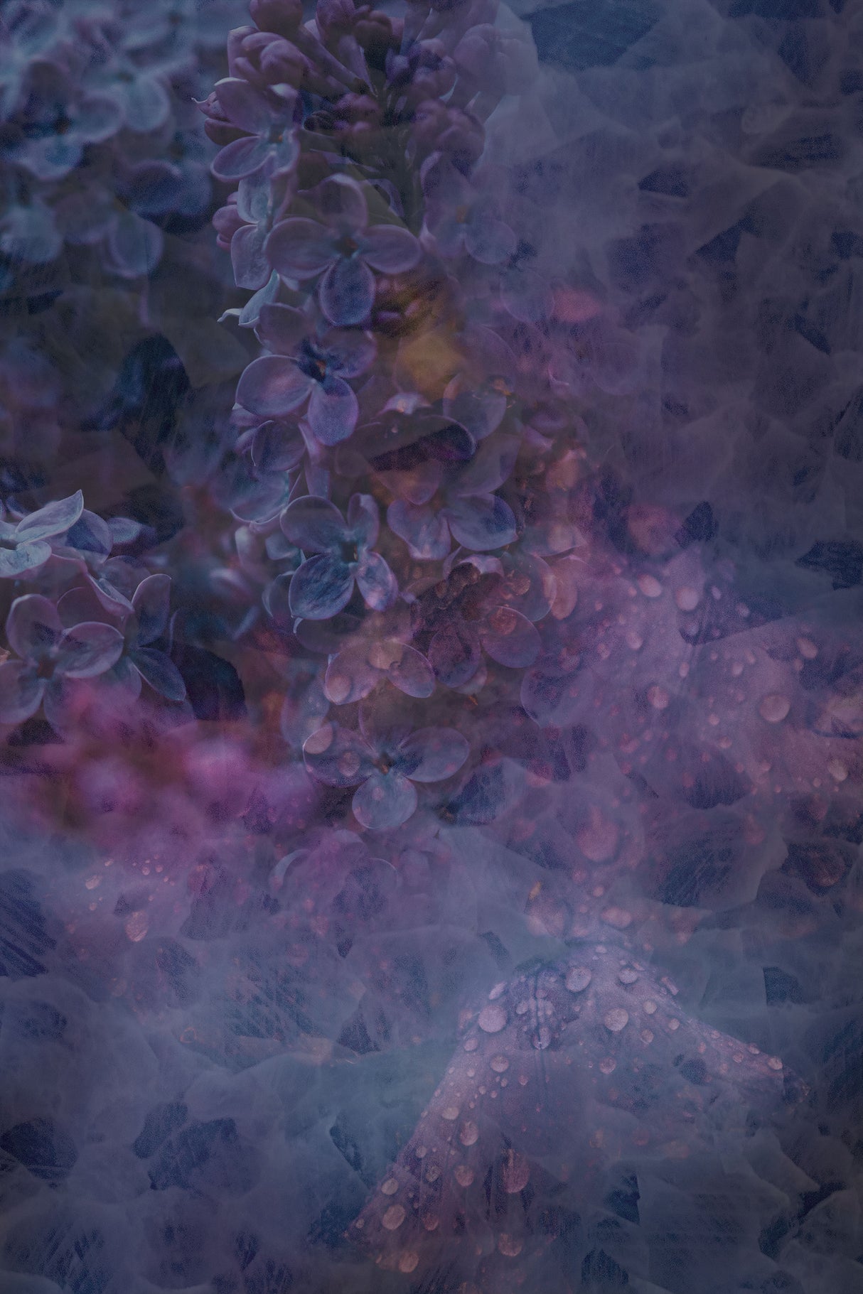 Spring #13.png Poster och Canvastavla