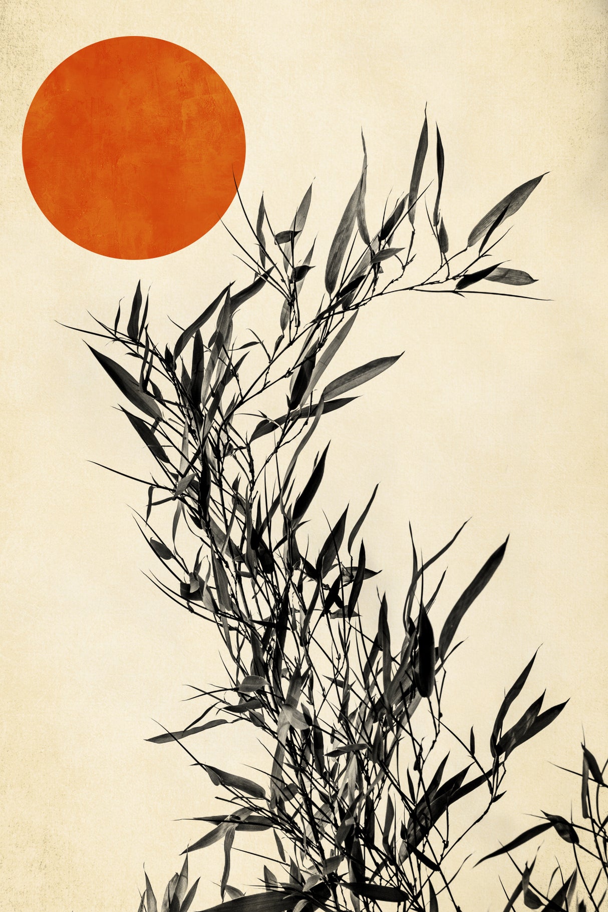 Japanese Birch Poster och Canvastavla