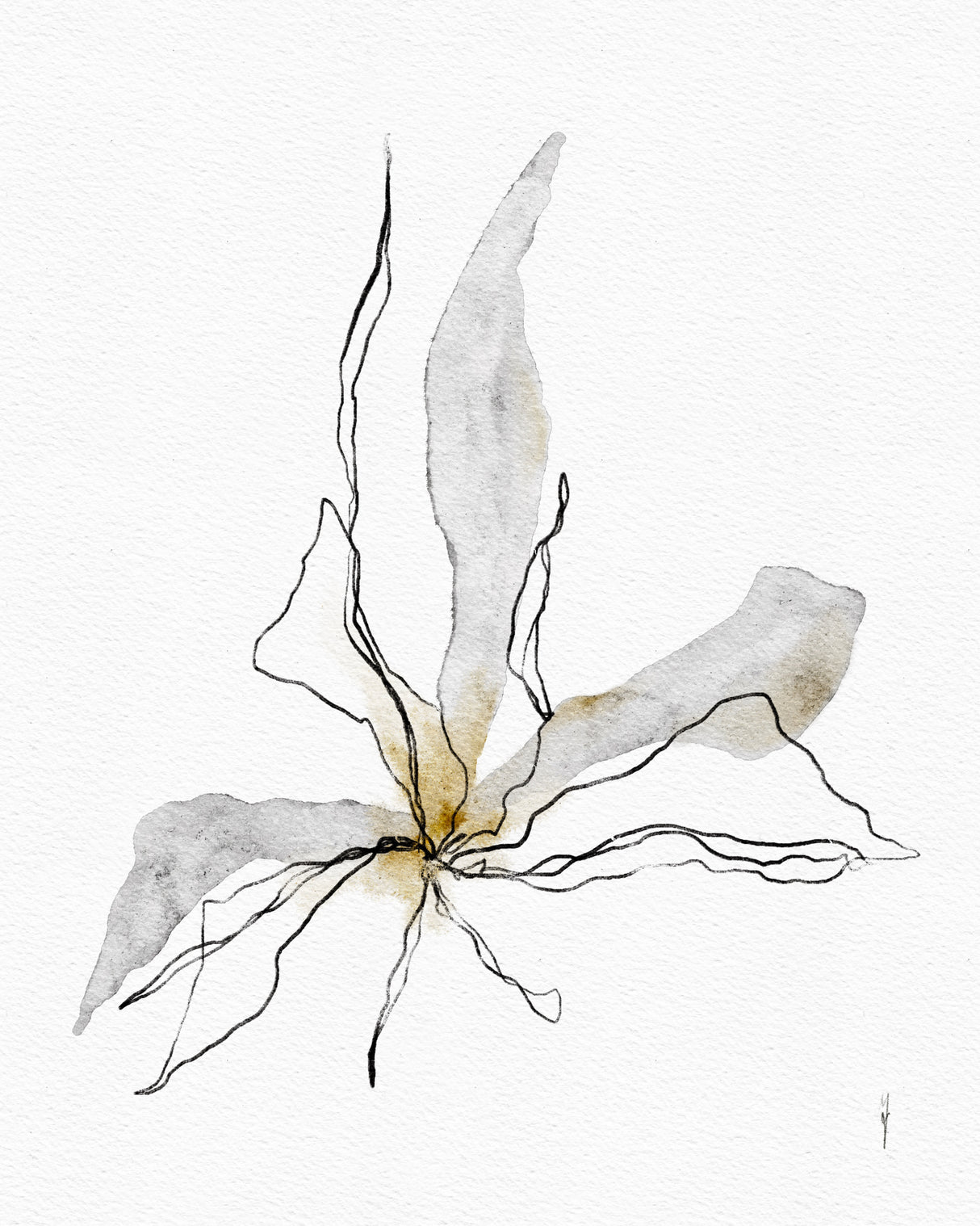 PRIME OF LIFE Poster och Canvastavla