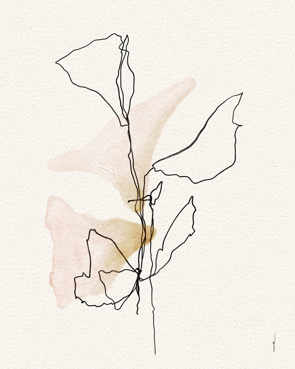 SOFT PARADISE Poster och Canvastavla