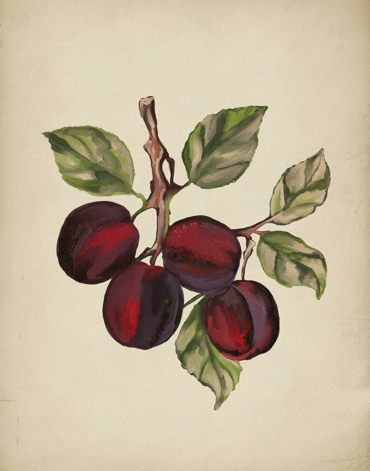 Project (20241106124620) Poster och Canvastavla