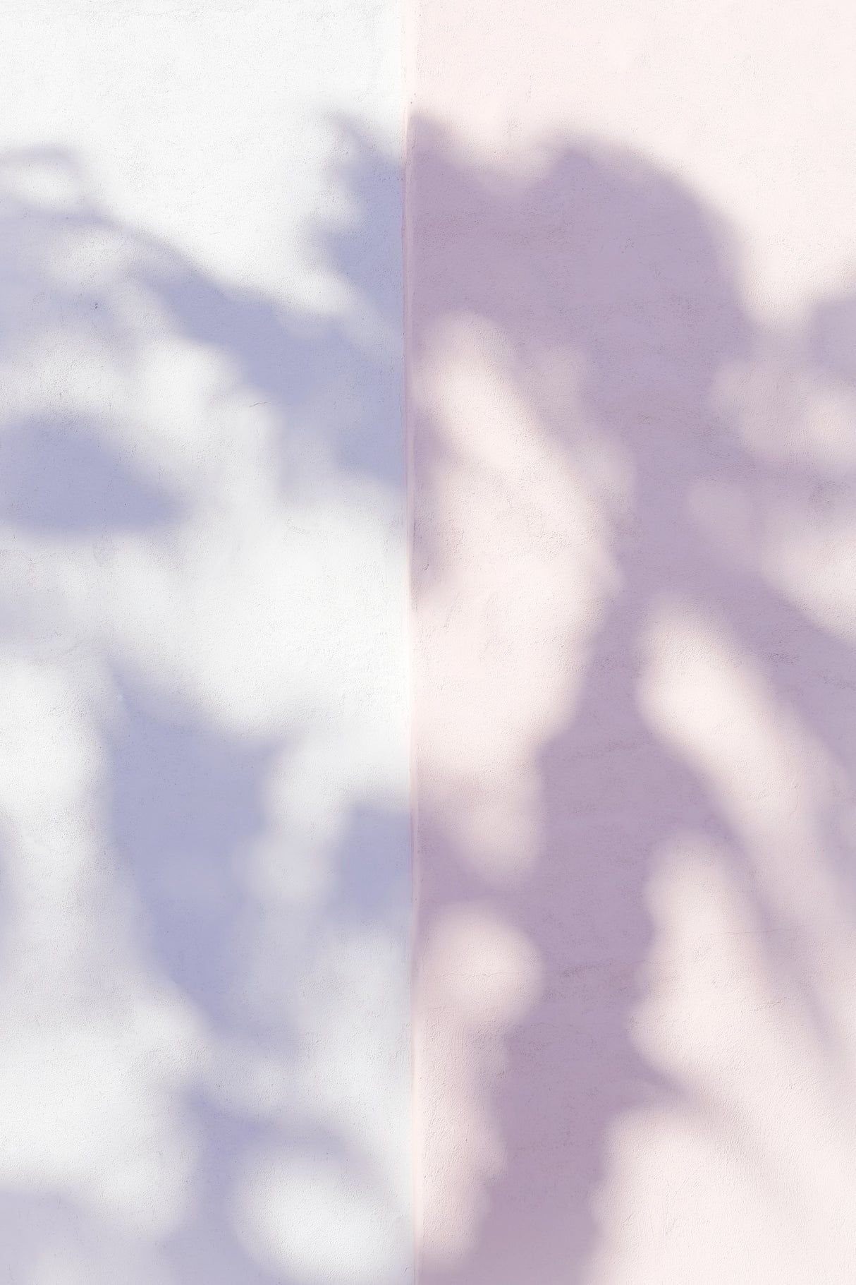Las Vegas Palm Tree Shadows Poster och Canvastavla