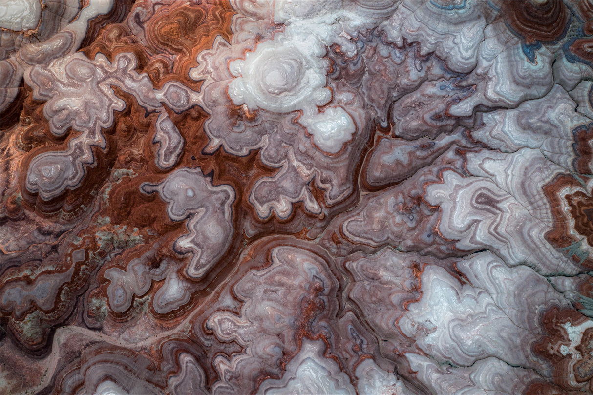 Colors of Utah Poster och Canvastavla