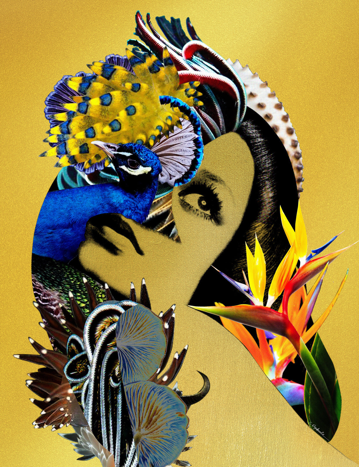 Sirin Poster och Canvastavla