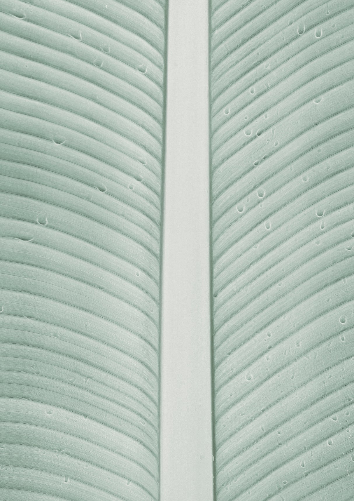 My Mint Moment 11 Poster och Canvastavla