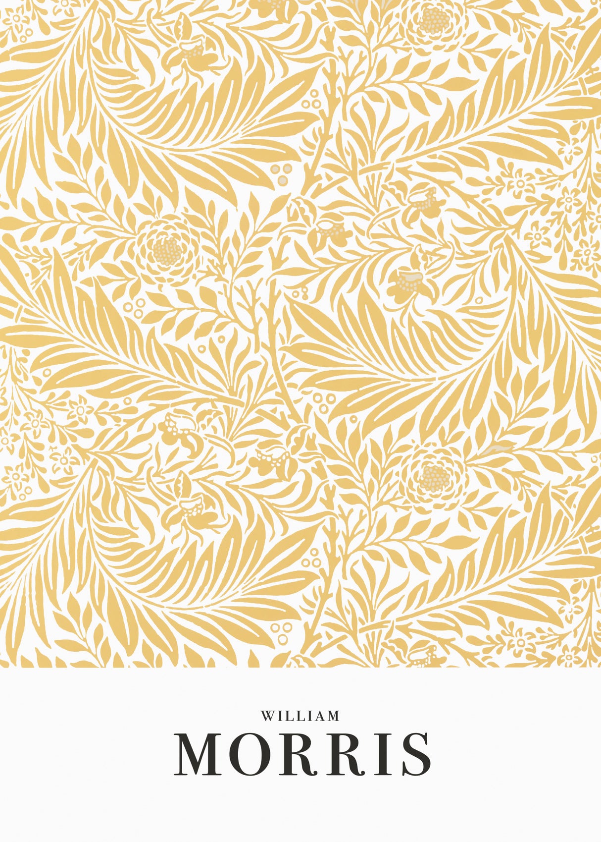 Larkspur Poster och Canvastavla