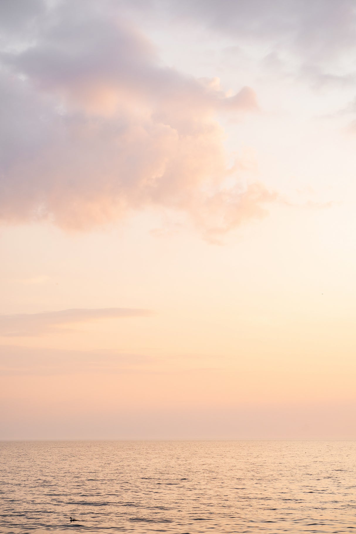 Pastel Color Sunset Poster och Canvastavla