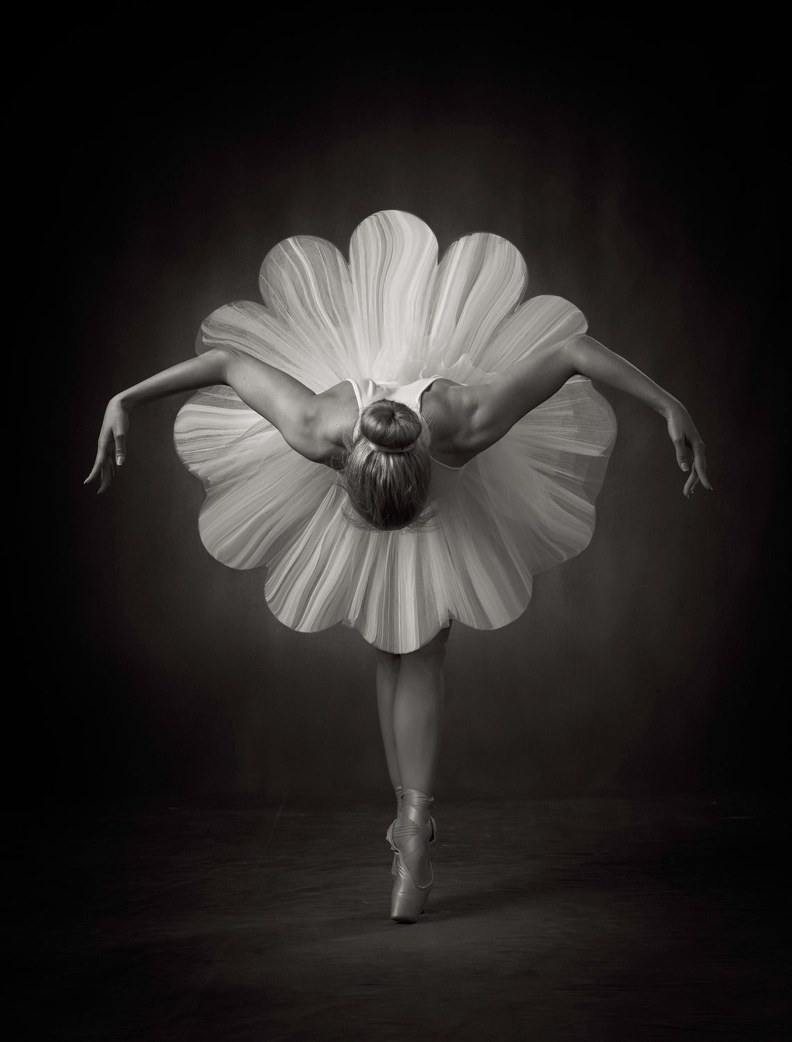 Floral Ballet Poster och Canvastavla