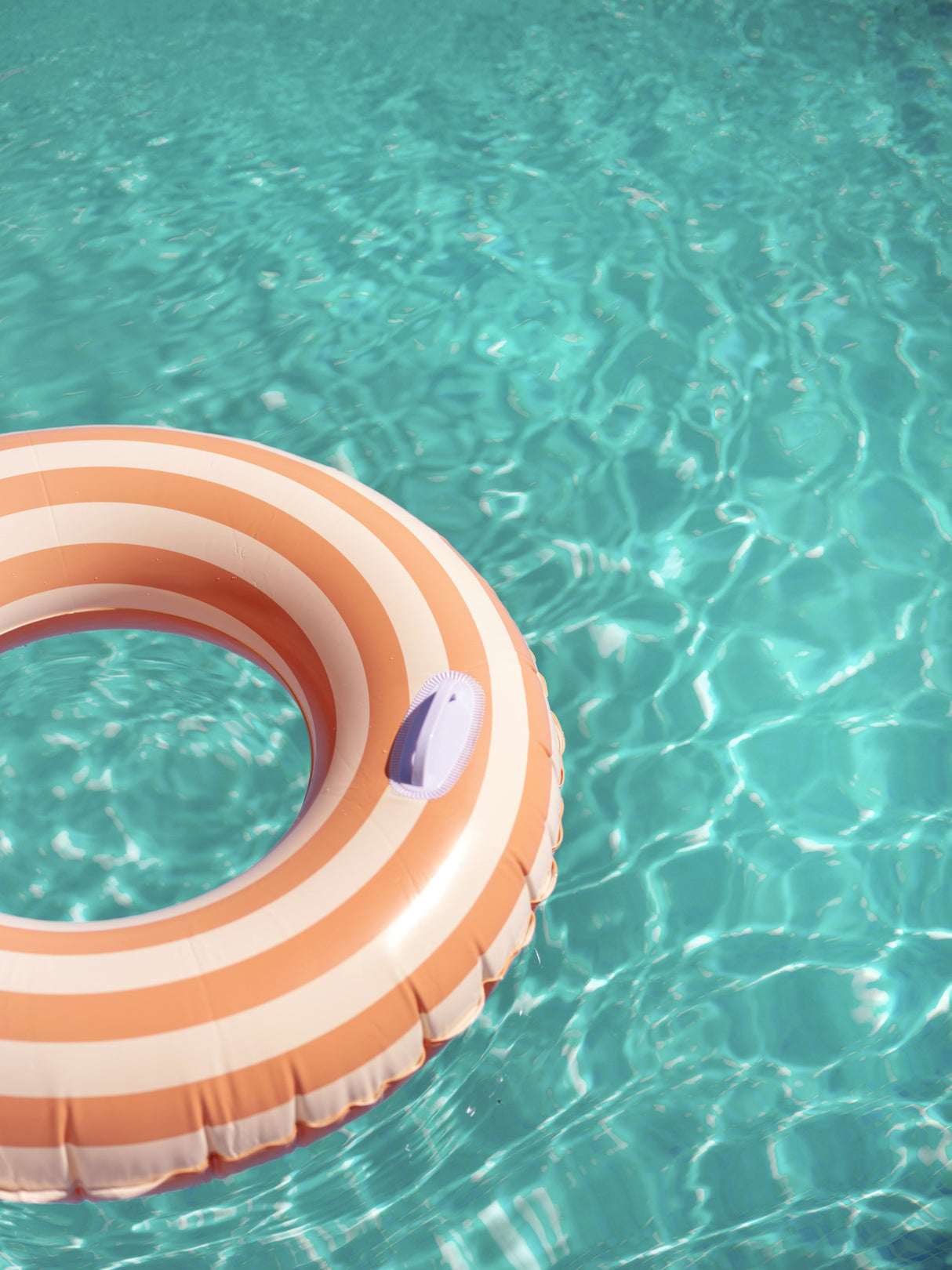 Peach Fuzz Swimming Pool Fun Poster och Canvastavla