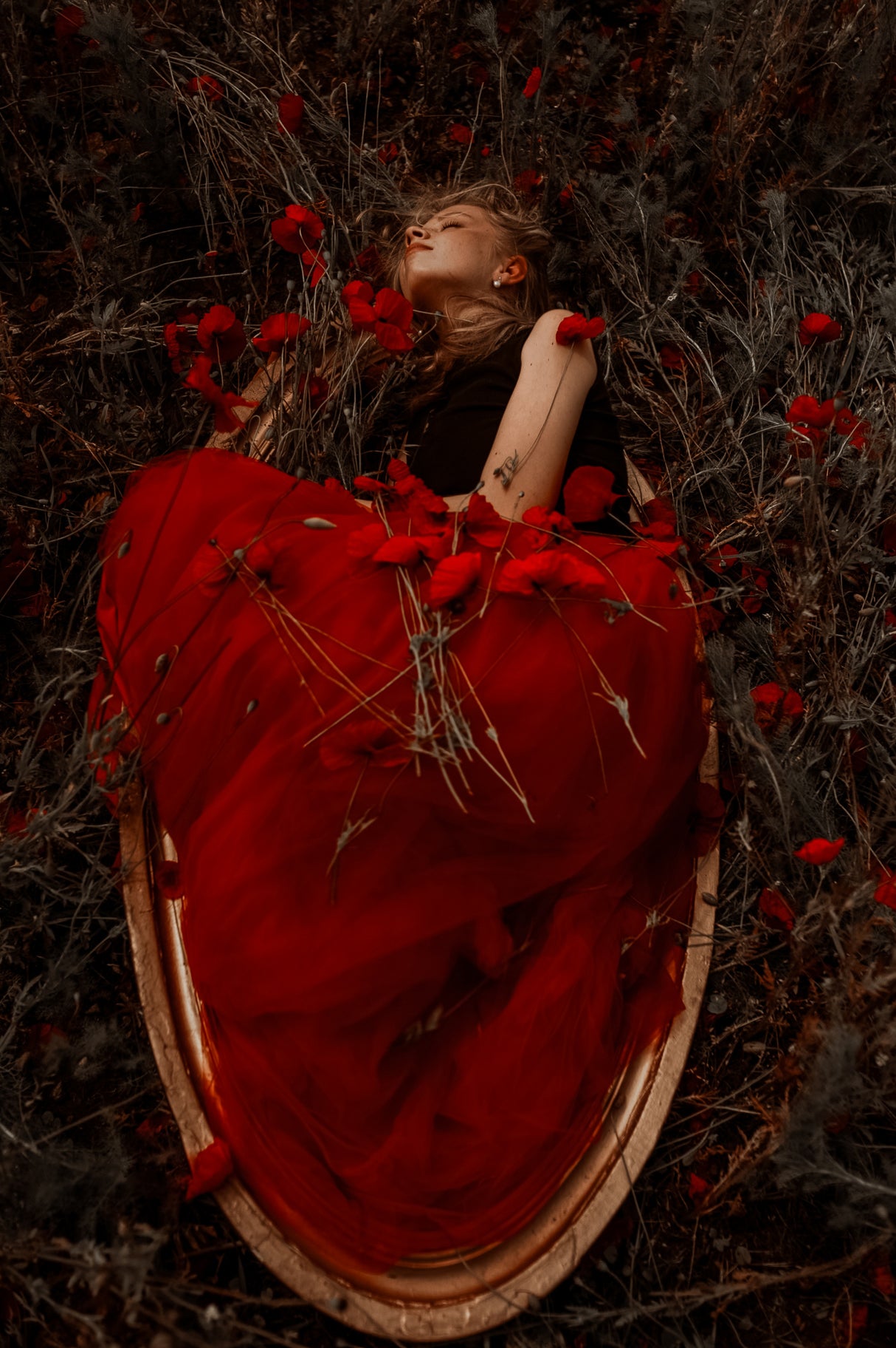 Framed in poppies Poster och Canvastavla