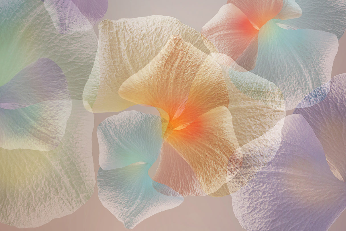 Pastel floral Poster och Canvastavla