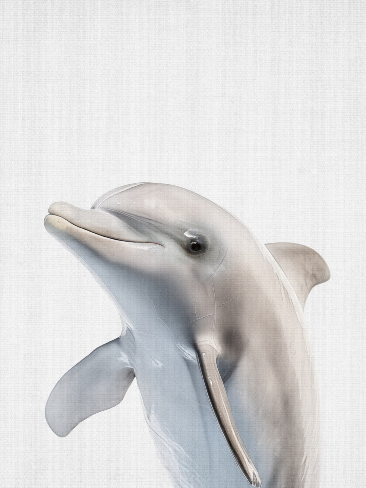 Dolphin Poster och Canvastavla