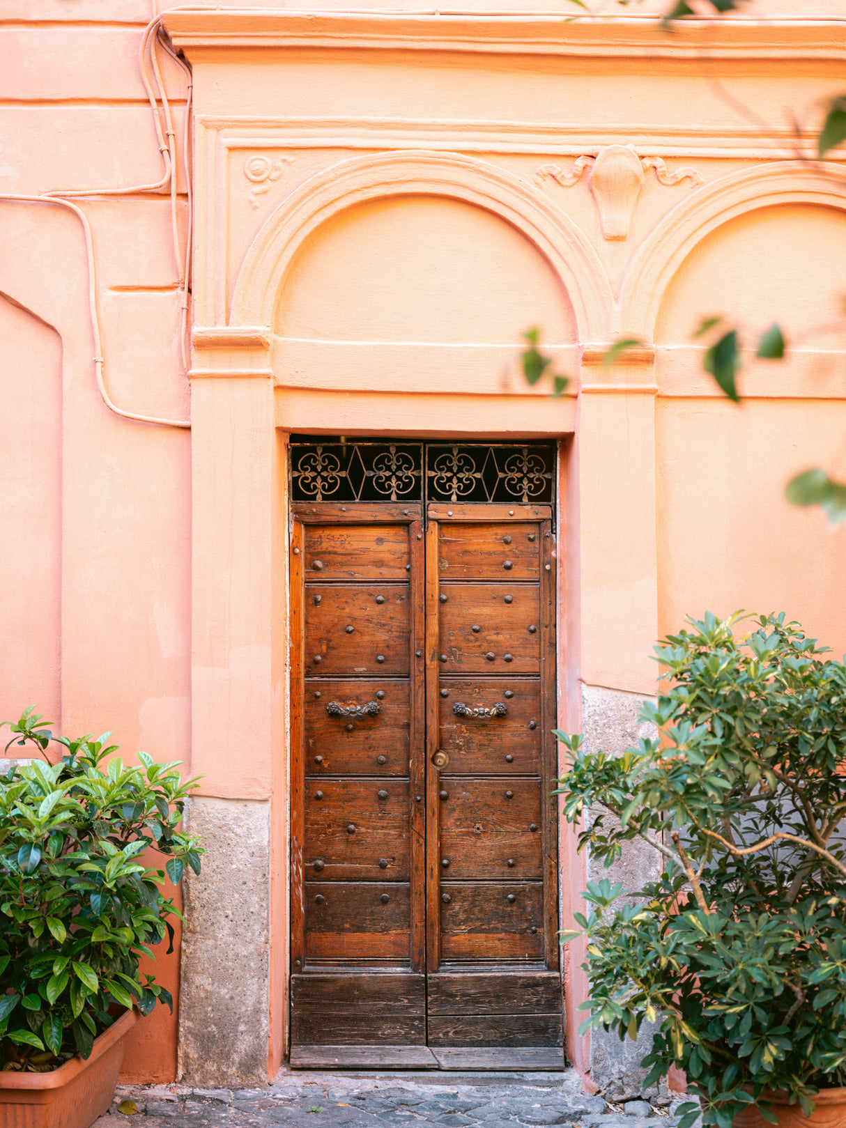 The Trastevere door || Poster och Canvastavla