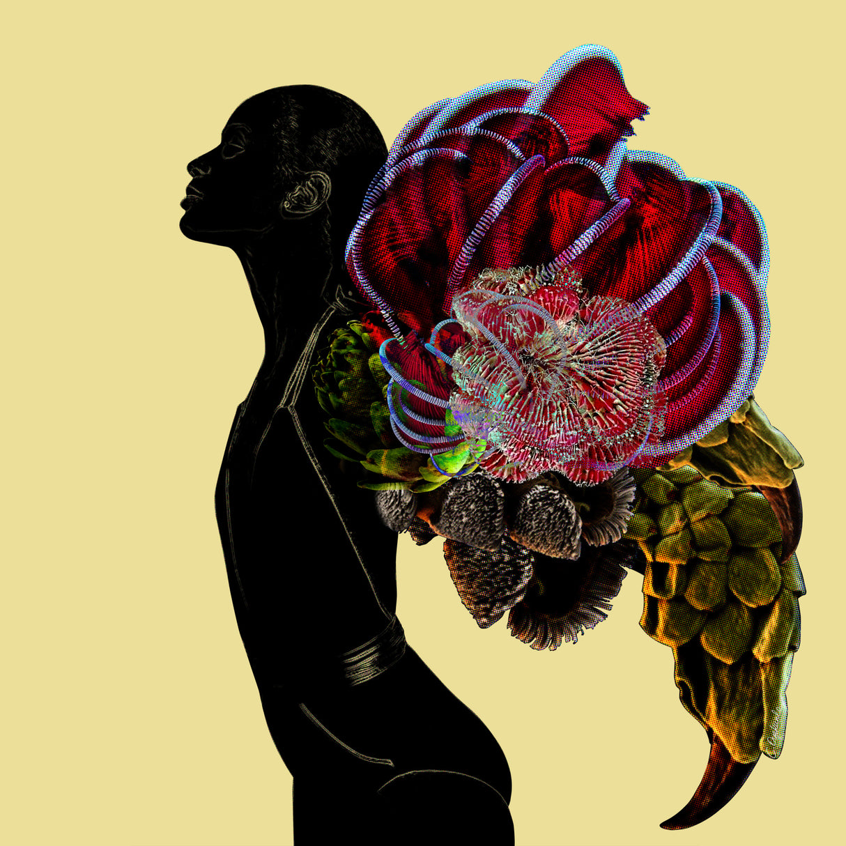 Phoenix Poster och Canvastavla