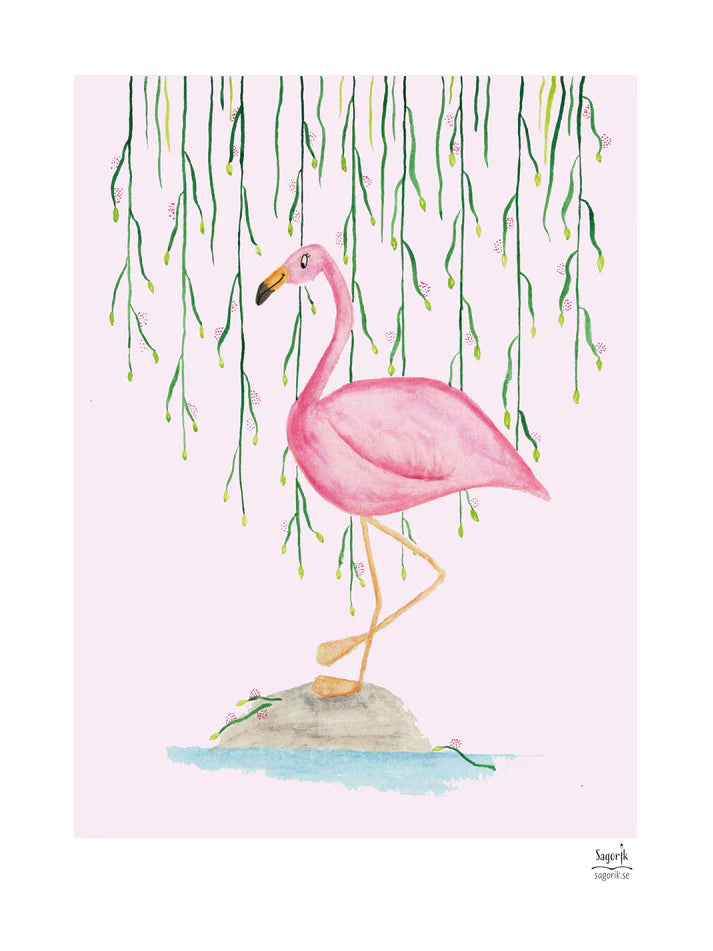 Flamingo
