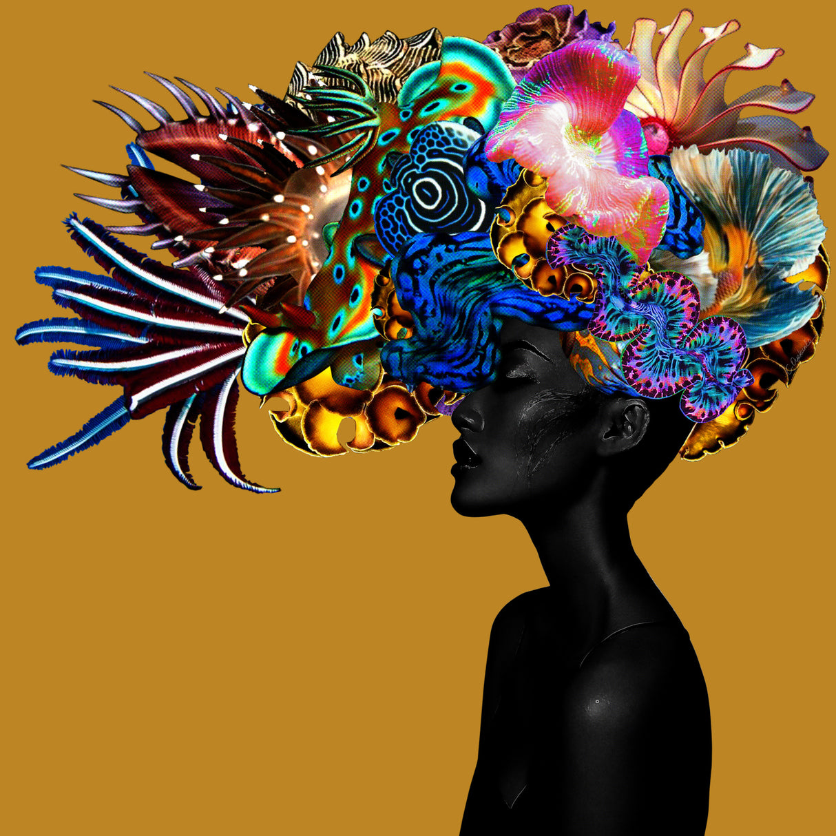 Crowning Glory II Poster och Canvastavla