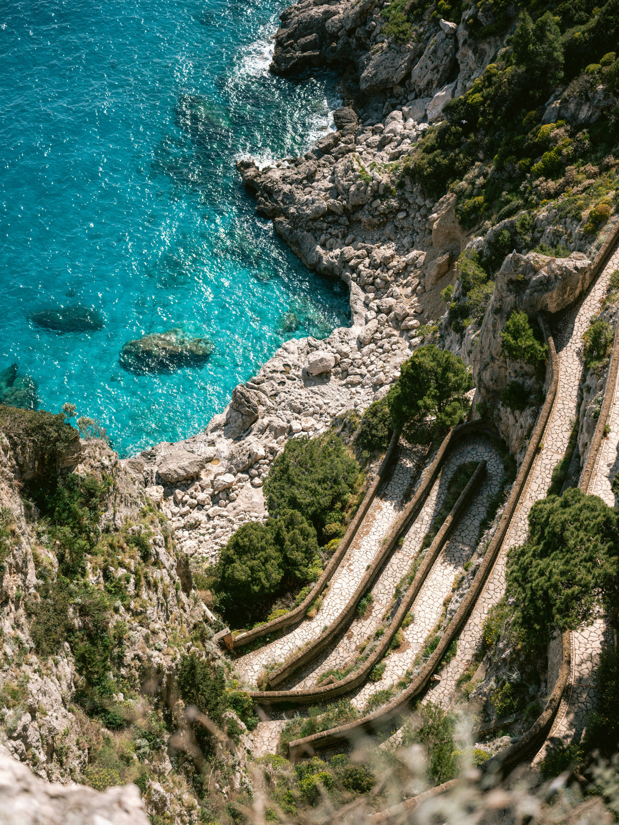 Gardens of Augustus Poster och Canvastavla