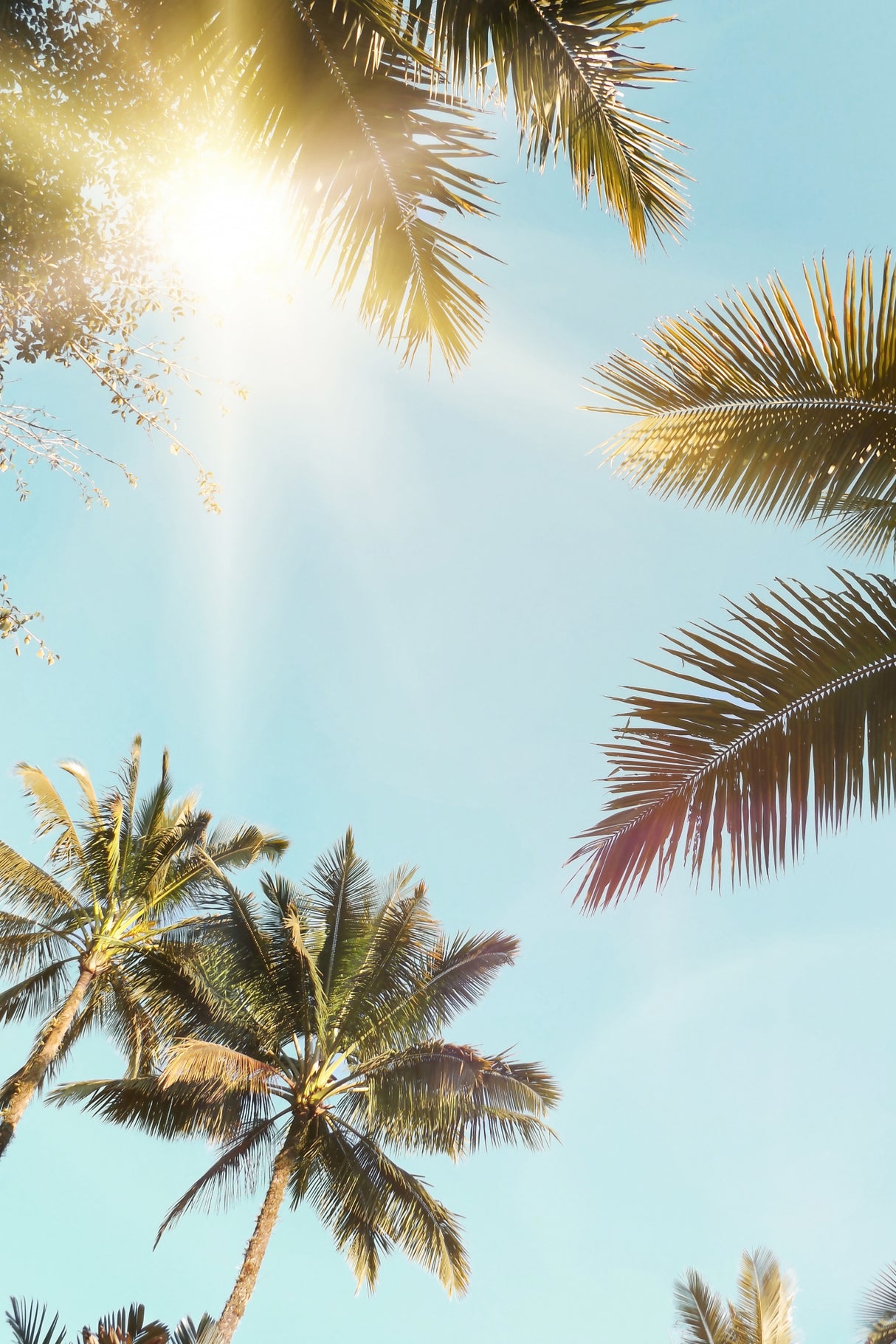 Sun Rays Poster och Canvastavla