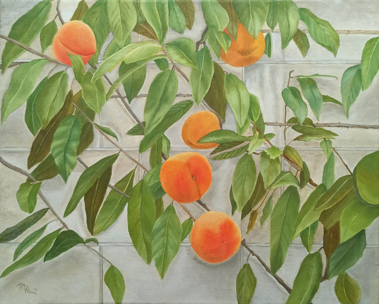 Peaches Poster och Canvastavla