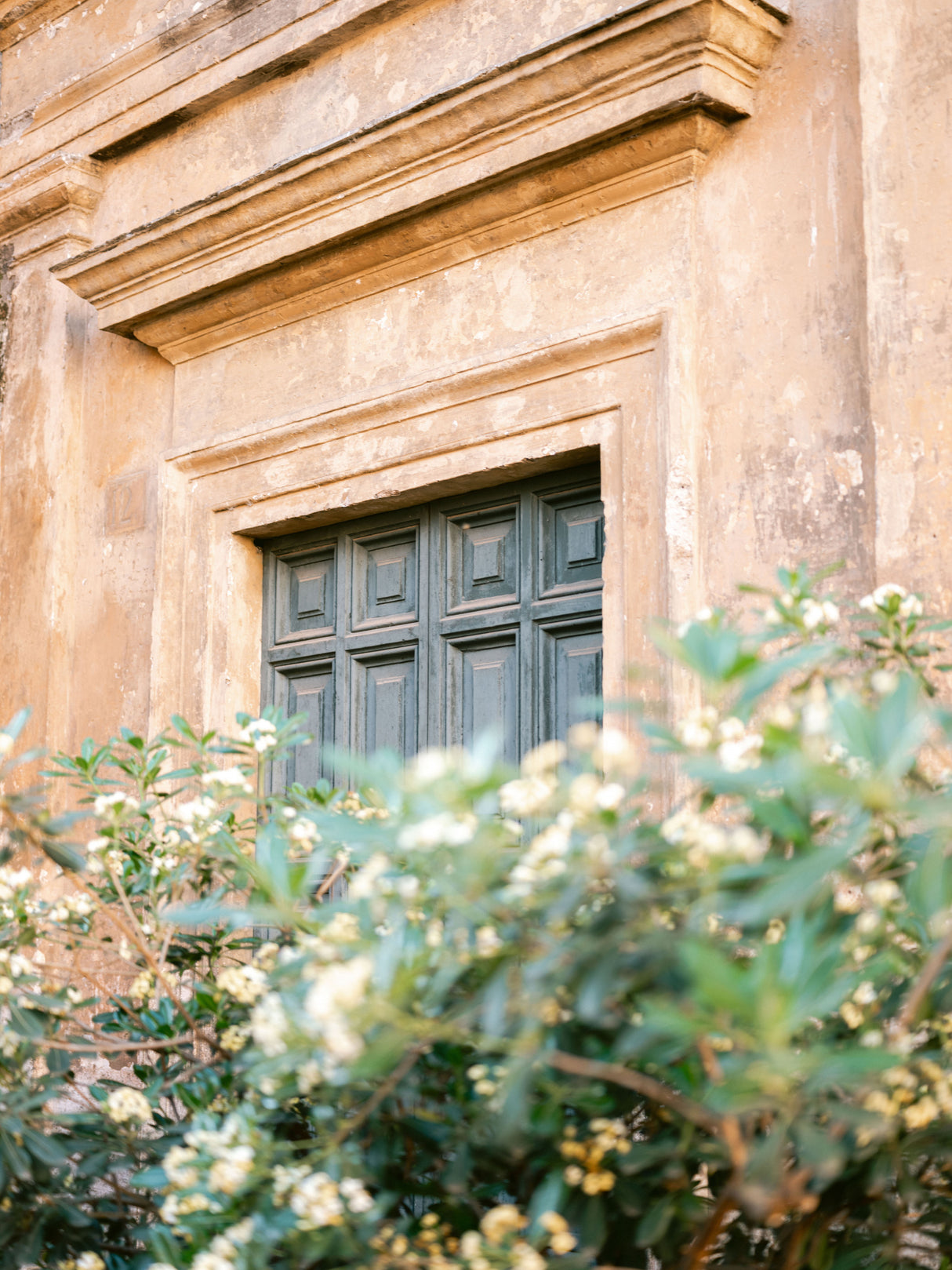 Botanical Trastevere Rome Poster och Canvastavla