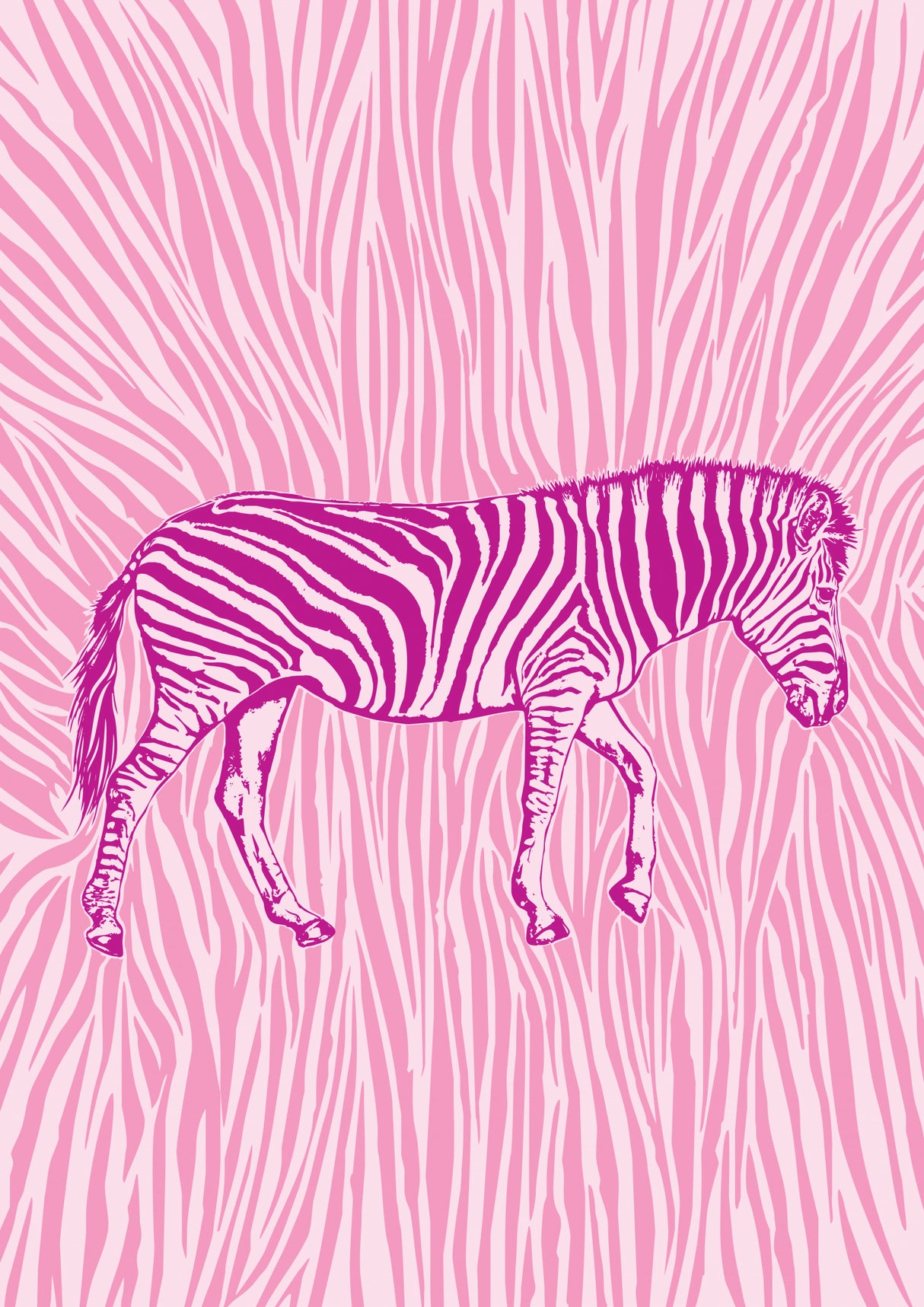 African Zebra striking camouflage Poster och Canvastavla