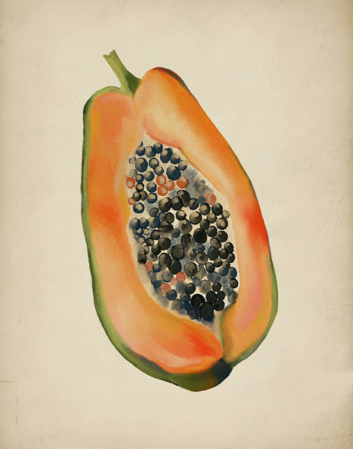 Vintage fruit- Papaya Poster och Canvastavla