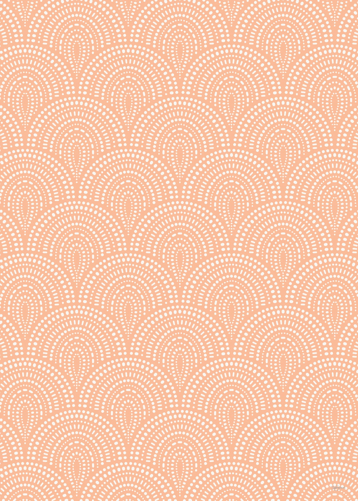 Dotty Peach Fuzz Poster och Canvastavla