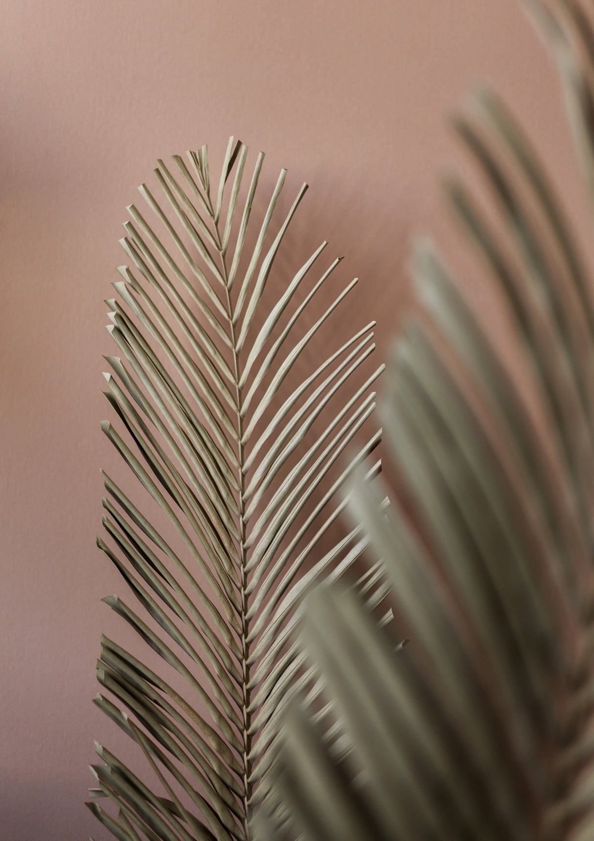 Last Summer 25 Poster och Canvastavla