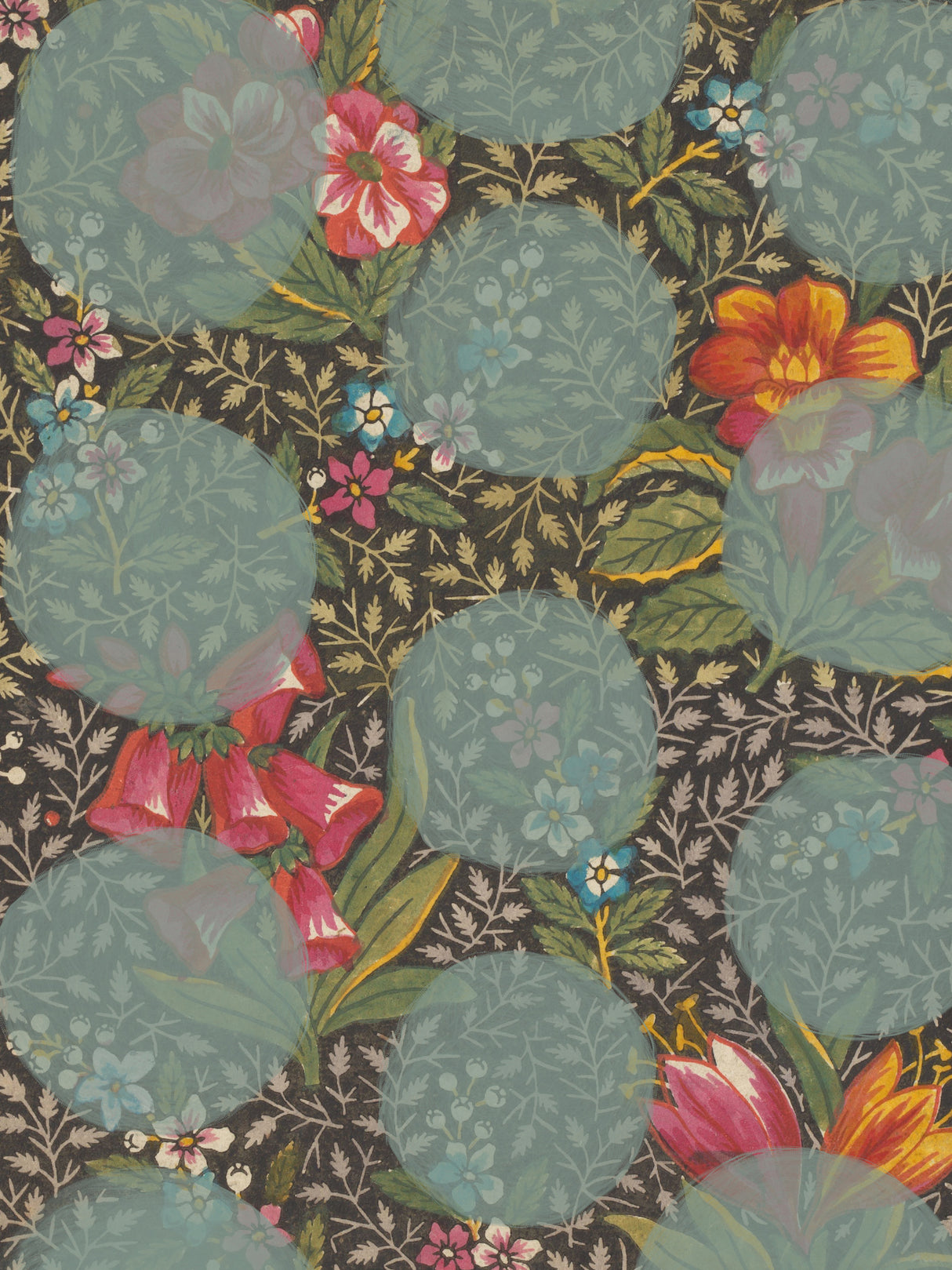 Colourful Flower Poster och Canvastavla