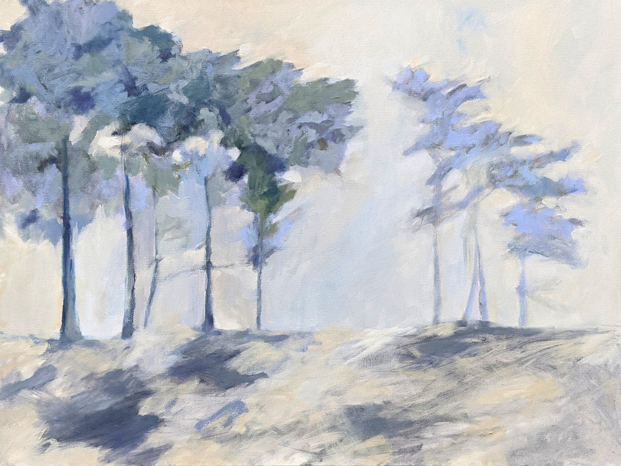 Cypress Poster och Canvastavla