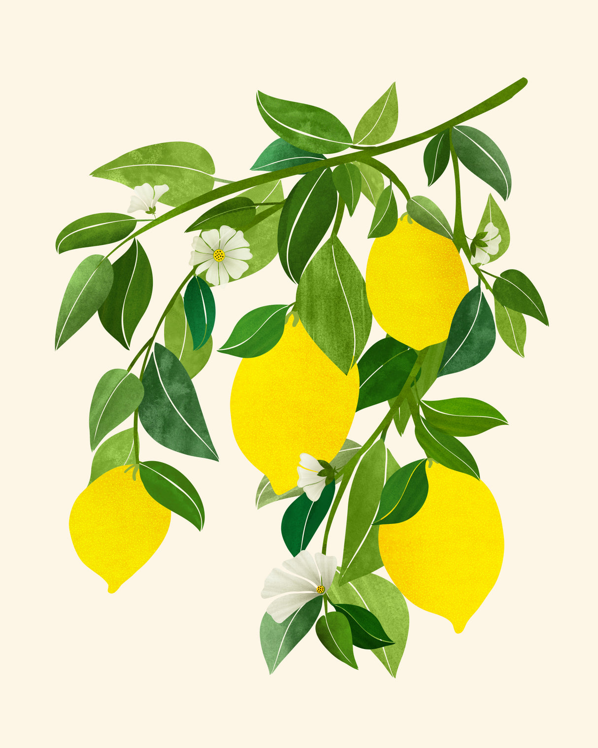 Sunny Lemons 4x5 Poster och Canvastavla