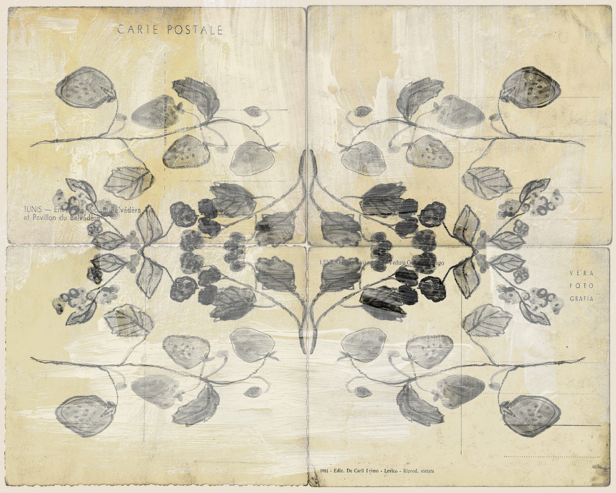 Vintage Berries Poster och Canvastavla