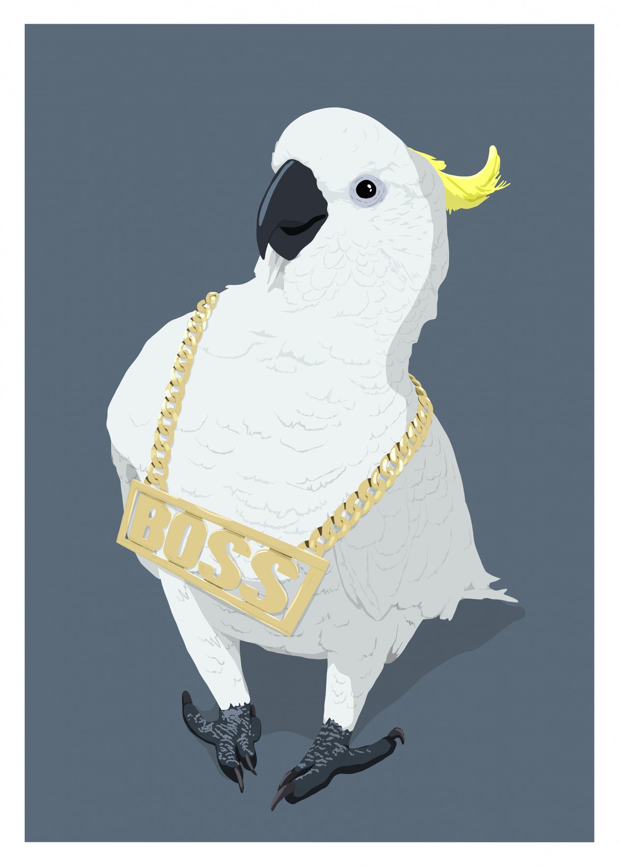 Swag Parrot Poster och Canvastavla