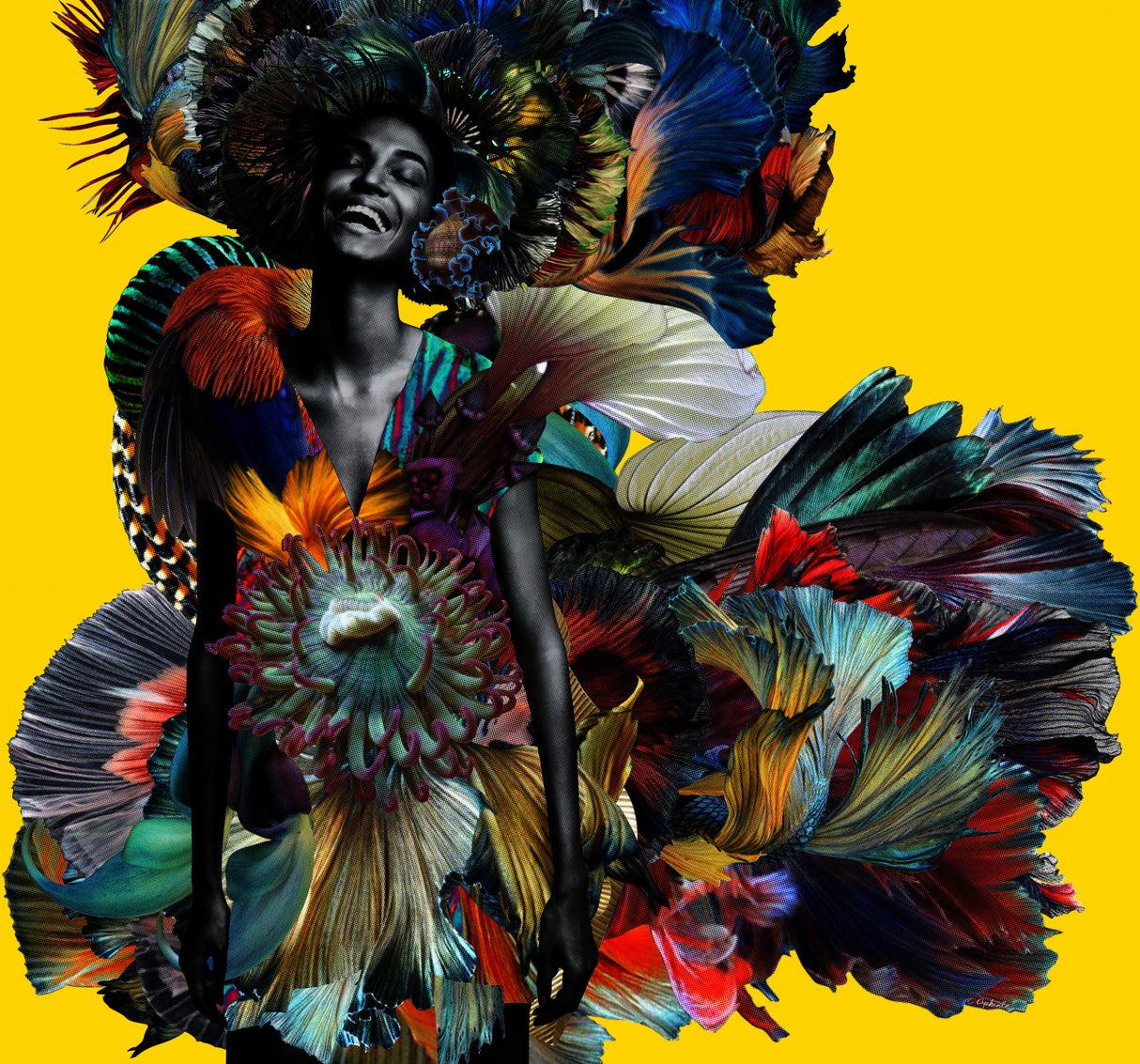 Sita Poster och Canvastavla