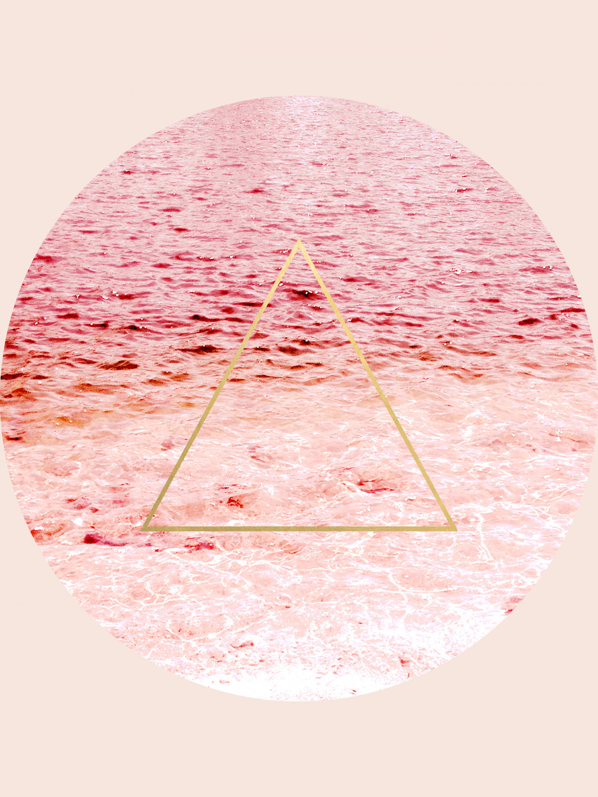 Portal I Poster och Canvastavla