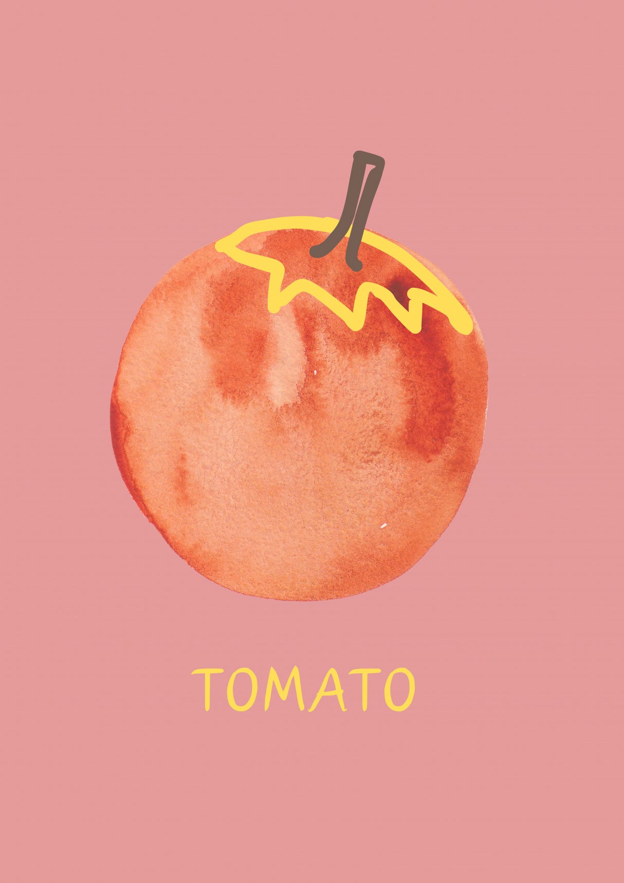 Tomato in Pink Poster och Canvastavla