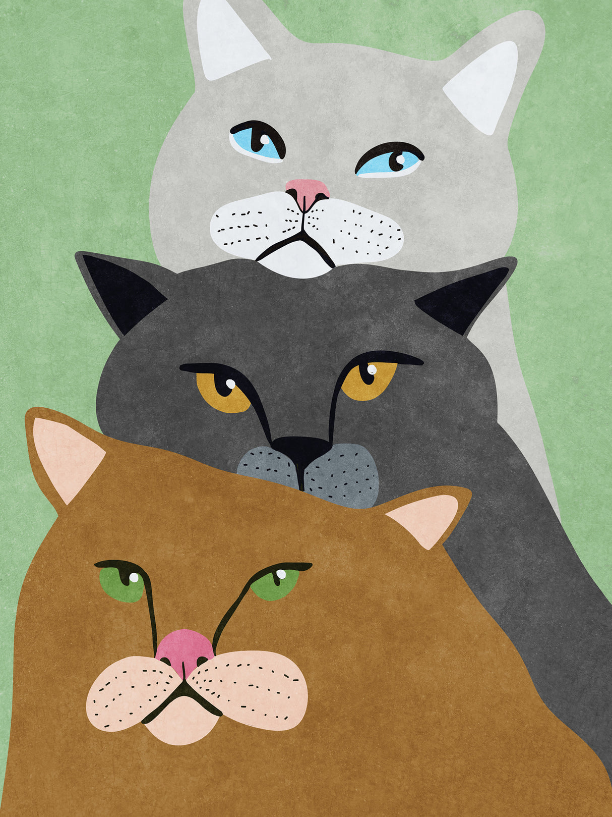 Cat Trio Poster och Canvastavla