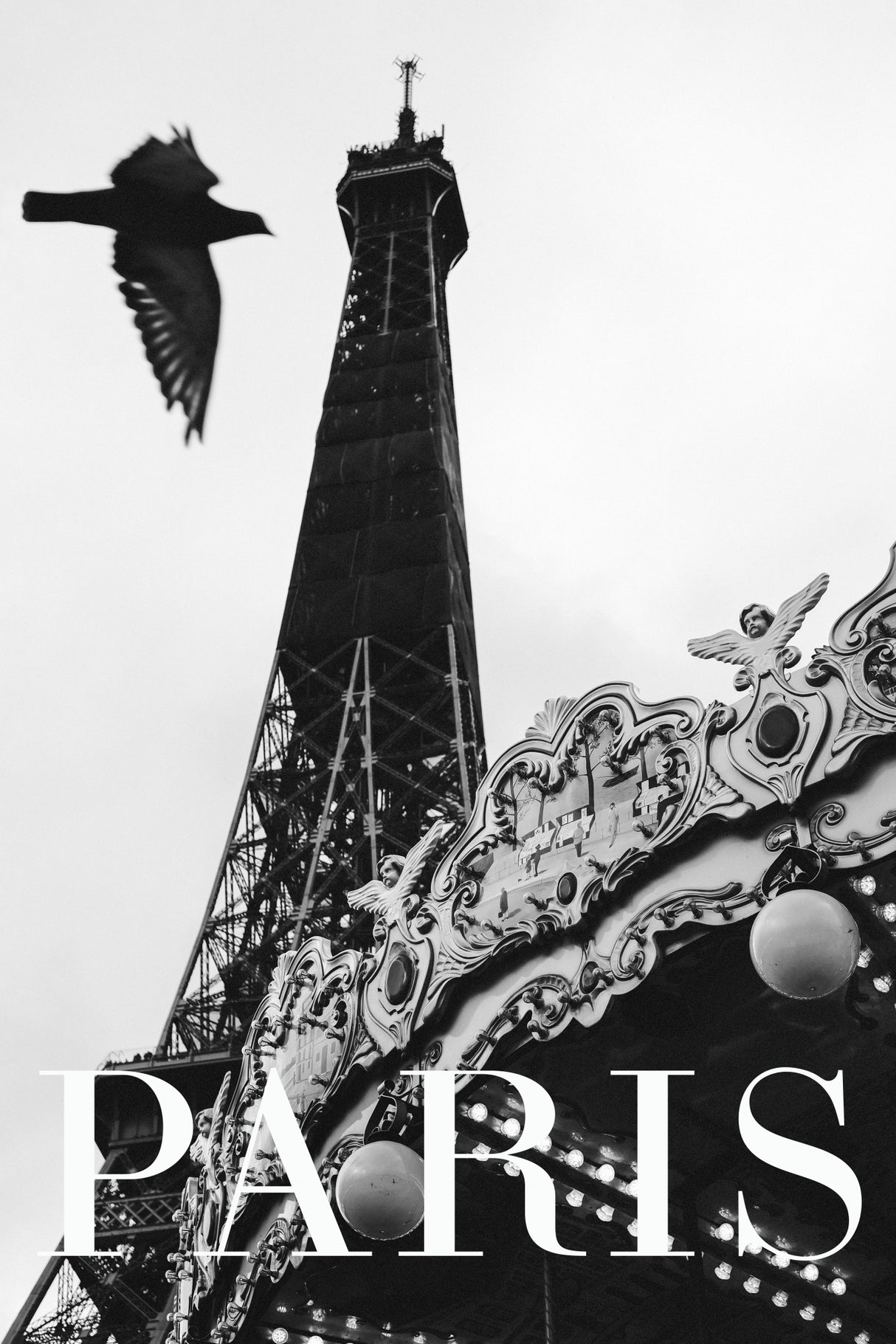 Paris Dove Poster och Canvastavla