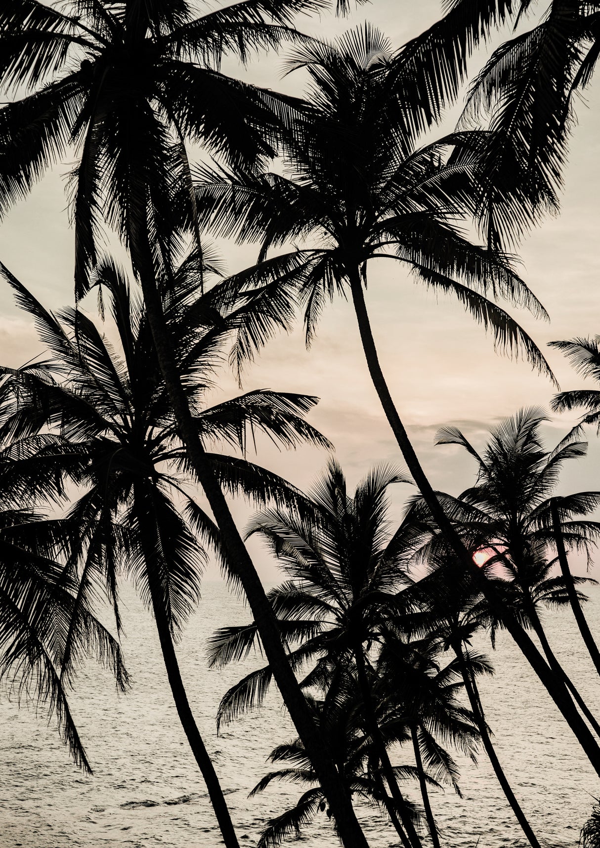 Light My Fire Poster och Canvastavla