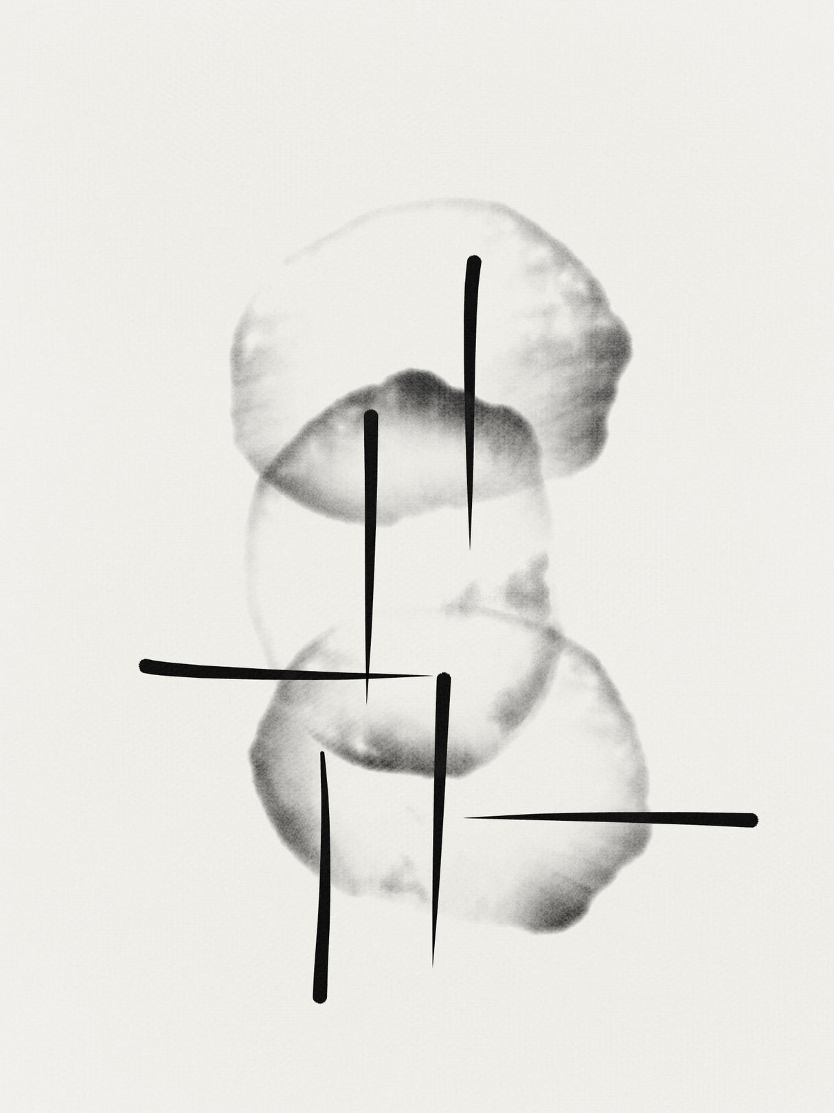 Organic circles with lines Poster och Canvastavla