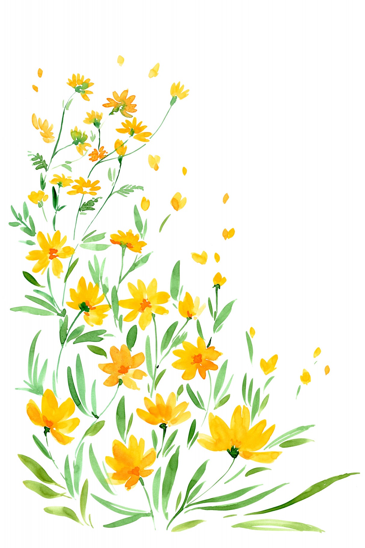 Yellow watercolor wildflowers Poster och Canvastavla