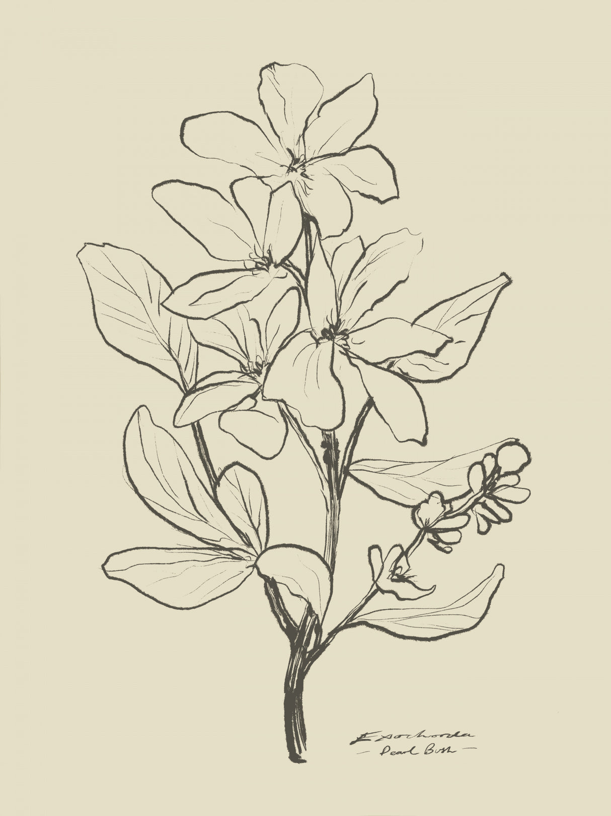 Floral 1 Poster och Canvastavla