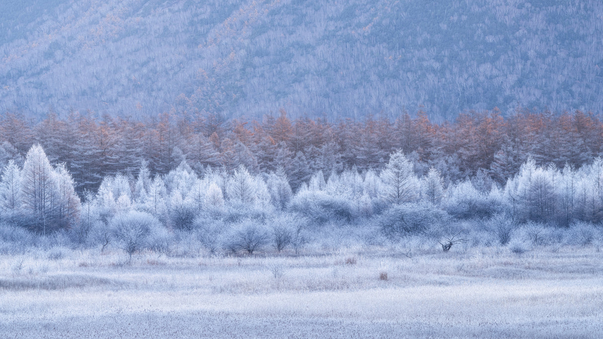 Autumn and winter layers Poster och Canvastavla