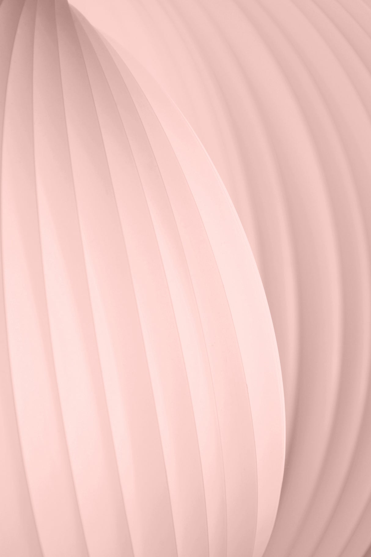 Light Pink Poster och Canvastavla