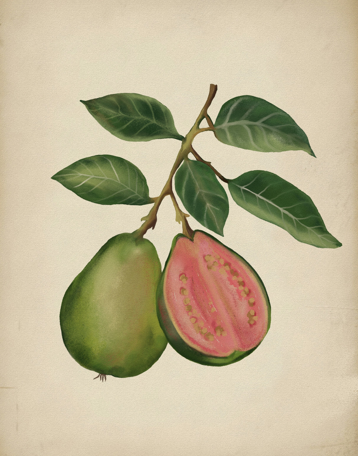 Project (20241106125110) Poster och Canvastavla