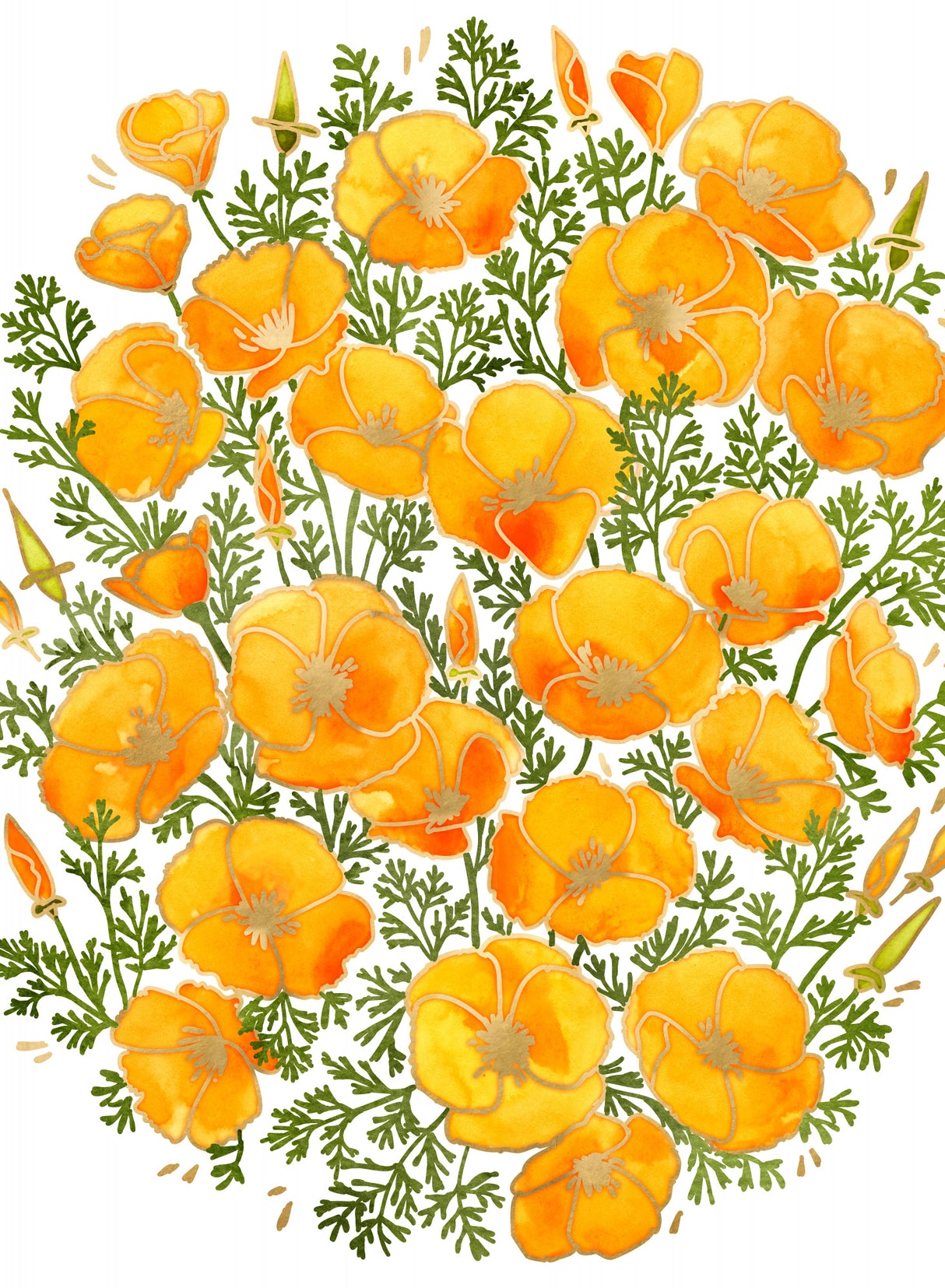 Gold accented California poppies Poster och Canvastavla