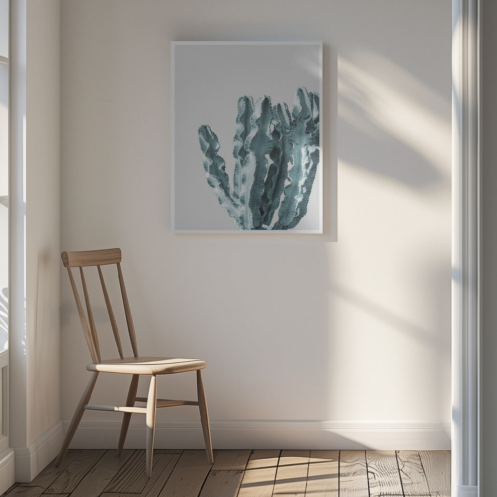 Boho Cactus No.2 Poster och Canvastavla