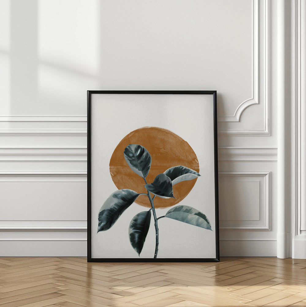 Sun and Ficus Poster och Canvastavla