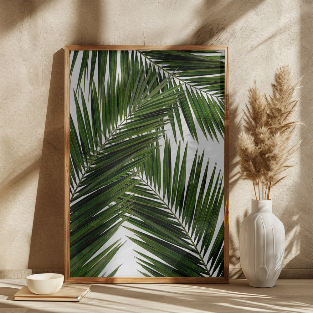 Palm Leaf III Poster och Canvastavla