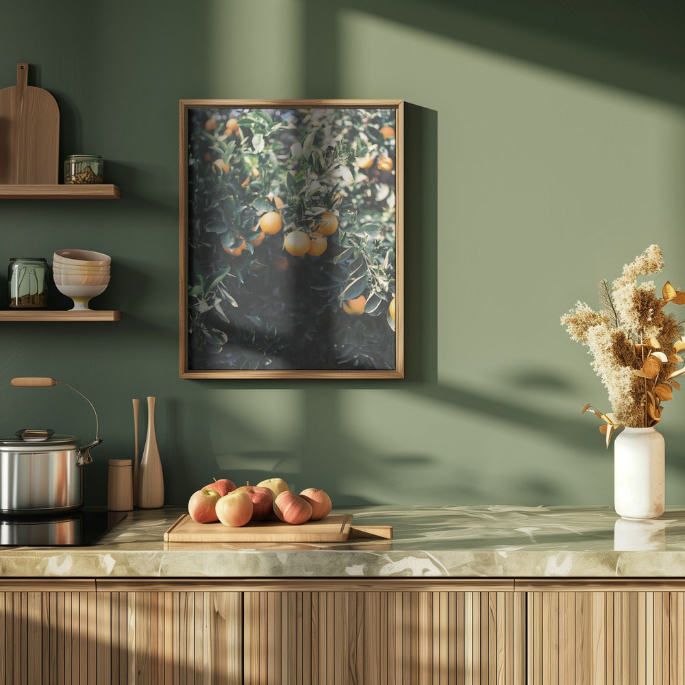 Marrakesh Oranges Poster och Canvastavla